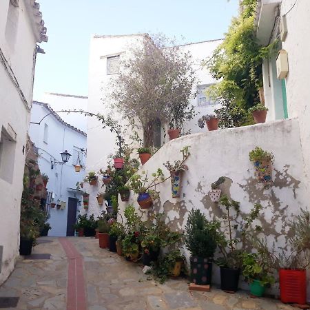 Castillo de Sabinillas Beautiful Apartment In Duquesa Suites And Gardens المظهر الخارجي الصورة